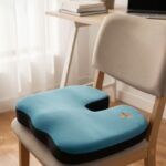 Coccyx Cushion Seat